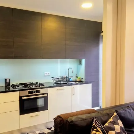 Jose Estevao 리스본